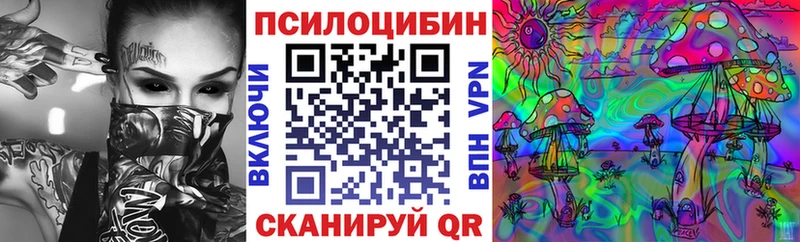 купить   Козельск  Галлюциногенные грибы MAGIC MUSHROOMS 