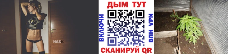 Бошки марихуана планчик  OMG   darknet какой сайт  Козельск 